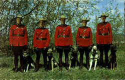 Royal Canadian Mounted Police (RCMP) Postcard