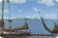 Skyline Of Miami Postcard