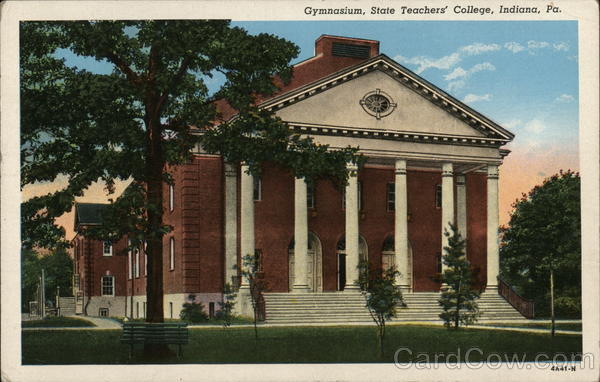 Gymnasium, State Teachers' College Indiana, PA Postcard