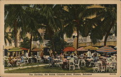 Tea Gardens, The British Colonial Hotel Nassau, Bahamas Caribbean Islands Postcard Postcard Postcard