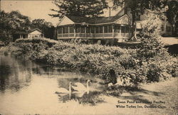 Swan Pond and Dining Porches, White Turkey Inn Danbury, CT Postcard Postcard Postcard