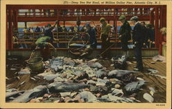 Deep Sea Net Haul at Million Dollar Pier Atlantic City, NJ Postcard Postcard Postcard