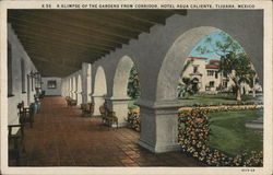 A Glimpse of the Gardens from Corridor, Hotel Agua Caliente Tijuana, Mexico Postcard Postcard Postcard