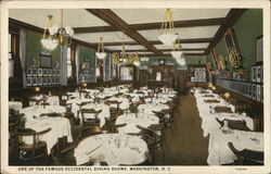 One of the Famous Occidental Dining Rooms Washington, DC Washington DC Postcard Postcard Postcard