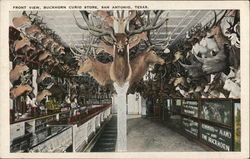 Front View, Buckhorn Curio Store Postcard