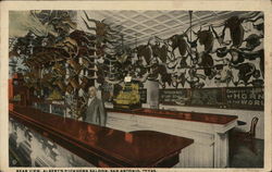 Rear View, Albert's Buckhorn Saloon San Antonio, TX Postcard Postcard Postcard