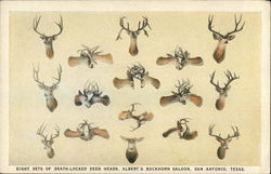 Eight Sets of Death-Locked Deer Heads, Albert's Buckhorn Saloon San Antonio, TX Postcard Postcard Postcard