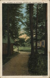 Pathway to Cottages, Lutherland Postcard