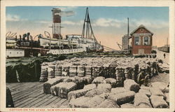 Cotton on the Levee New Orleans, LA Postcard Postcard Postcard