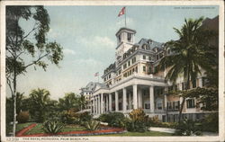 The Royal Poinciana Postcard