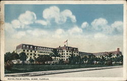 Royal Palm Hotel Postcard