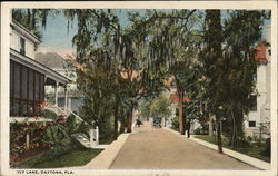 Ivy Lane Daytona Beach, FL Postcard Postcard Postcard