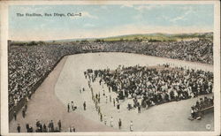 The Stadium Postcard