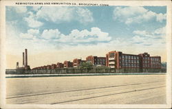 Remington Arms and Ammunition Company Postcard