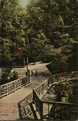 Rustic Bridge Over Trout Pond, Riverton Park Postcard