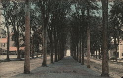 Looking Along Broadway Postcard