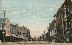 Business Section, Water Street Skowhegan, ME Postcard Postcard Postcard