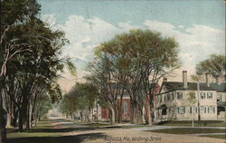 Looking Along Winthrop Street Postcard