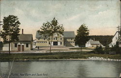 New Barn and Duck Pond Postcard