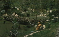 Beaver Valley Postcard