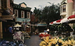 Flower Mart Anaheim, CA Disney Postcard Postcard Postcard