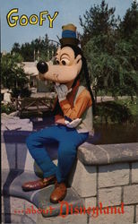 Goofy . . . about Disneyland Postcard