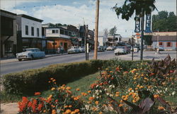 View from Town Park Postcard