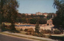 Lincoln Park Municipal Swimming Pool Albany, NY Postcard Postcard Postcard