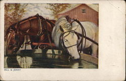 A white and brown horse harnessed up drinking out of a water tank. Horses Postcard Postcard Postcard