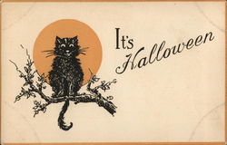 It's Halloween Black Cat Postcard Postcard Postcard