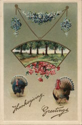 Thanksgiving Greetings Postcard