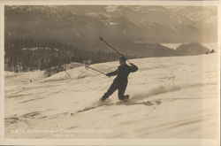 Telemark Skiing Postcard