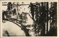 1804 Wintersport, Ski-Sprung Skiing Postcard Postcard