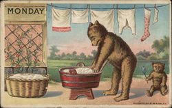 Monday Bear Doing Laundry Bears Postcard Postcard Postcard