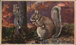 Shoot DuPont Powders Gray Squirrel Postcard