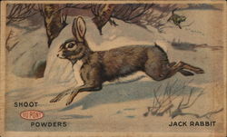 Shoot DuPont Powders Jack Rabbit Advertising Postcard Postcard Postcard