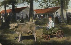 Boy in Studebaker Cart pulled by Calfs Advertising Postcard Postcard Postcard