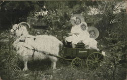 Goat Pulling Studebaker Wagon w/Girls Advertising Postcard Postcard Postcard