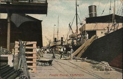 Offloading Steamers Postcard