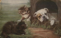 Cats and Dog Postcard