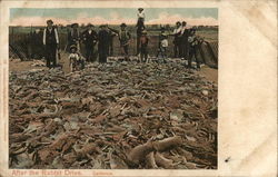 Men Standing in a Field of Dead Rabbits Postcard Postcard Postcard