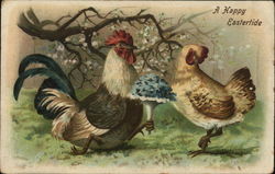 Rooster Courting Chicken With Chicks Postcard Postcard Postcard