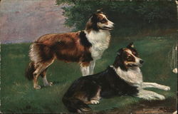 Pair of Dogs on Grass Postcard