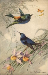 Two Blue Birds Near Two Yellow Butterflies Postcard Postcard Postcard