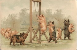 Pigs Playing on Swing Postcard