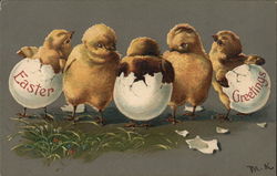 Easter Greetings With Chicks Postcard Postcard Postcard