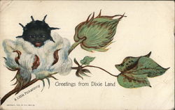 Greentings From Dixie Land - A little Pickaninny Black Americana Postcard Postcard Postcard