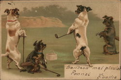 Dogs on the Fairway Golf Postcard Postcard Postcard