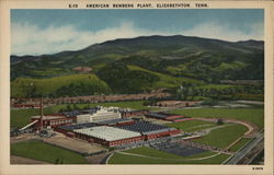 American Benberg Plant Postcard