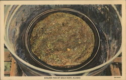 $35,000 Pan of Gold Dust, Alaska Postcard